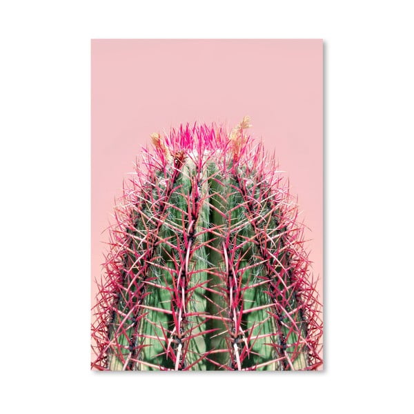Poster Americanflat Cactus On Pink, 30 x 42 cm