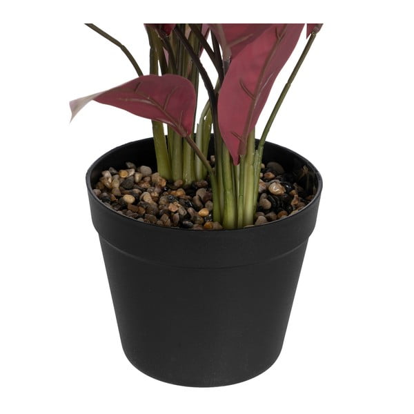 Plantă artificială (înălțime 55 cm) Bird of Paradise – Ixia-image-2