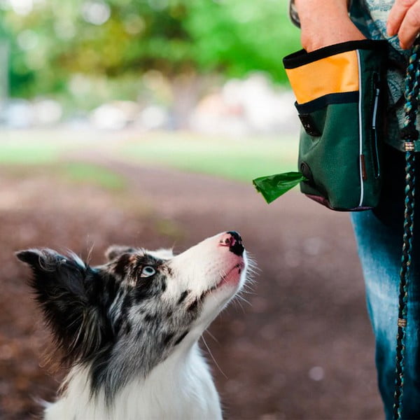 Săculeț pentru recompense Deluxe Moss – P.L.A.Y.-image-1