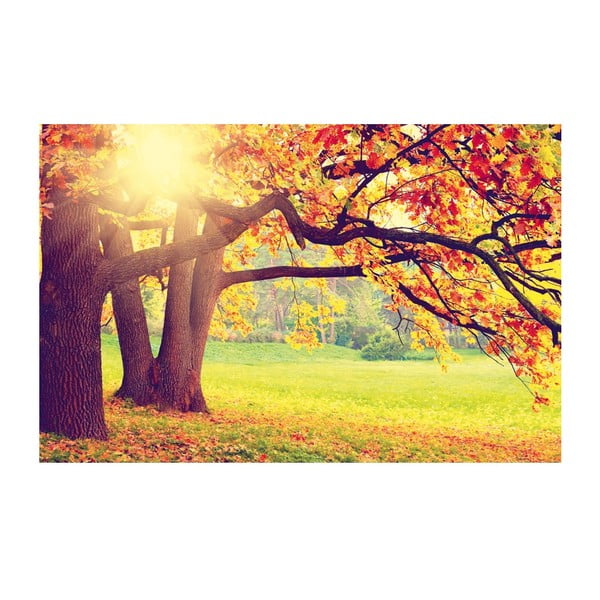 Tablou Autumn Landscape, 45 x 70 cm