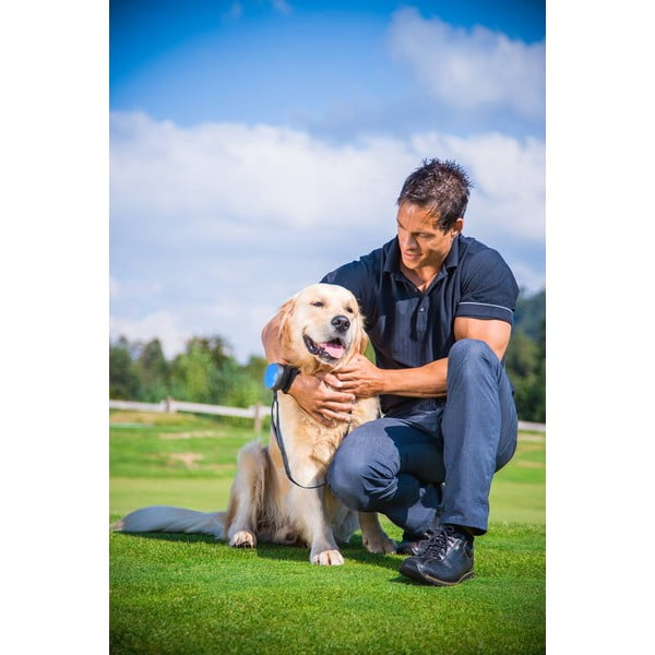 Lesă verde S 3 Neon – Lishinu-image-3