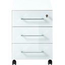 Dulap alb cu aspect de lemn de stejar 40x55 cm Monteria – Germania