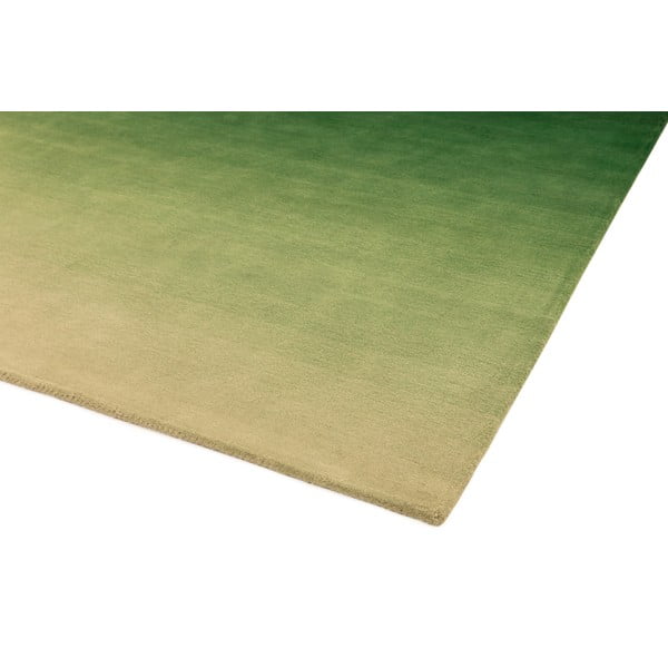 Covor Asiatic Carpets Ombre, 160 x 230 cm, verde-gri-image-4