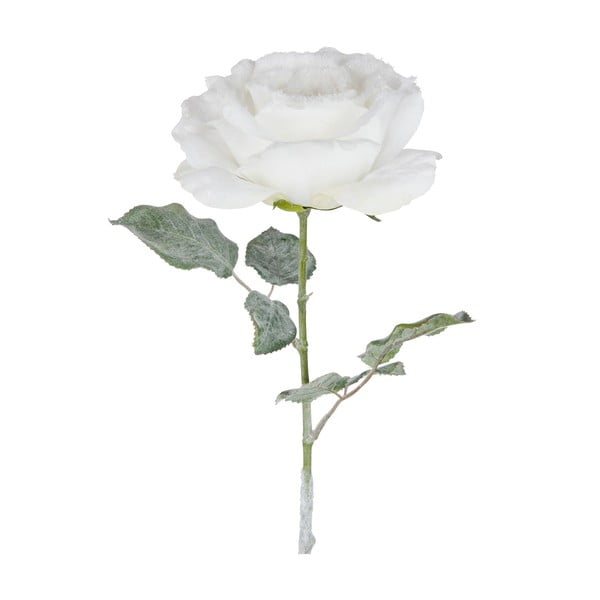 Trandafir decorativ  J-Line Rose, alb