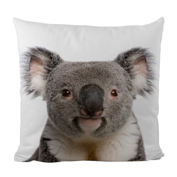 Pernuță Butter Kings Cute Koala