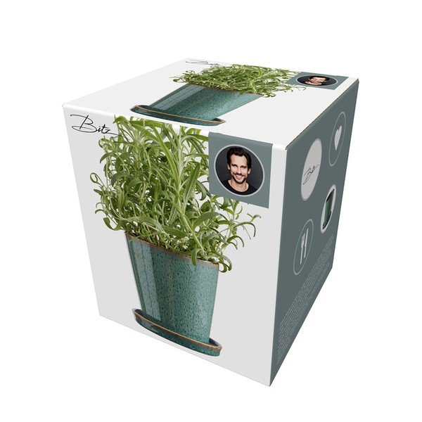 Ghiveci decorativ din gresie ø 10 cm Gastro Green/Black – Bitz-image-4