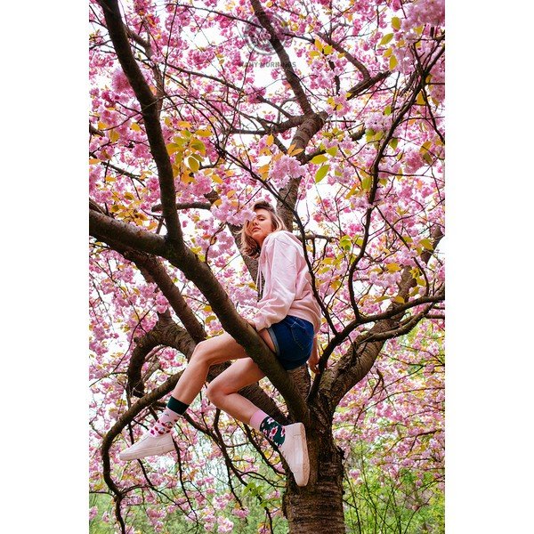Șosete Many Mornings Cherry Blossom, măr. 35–38-image-1