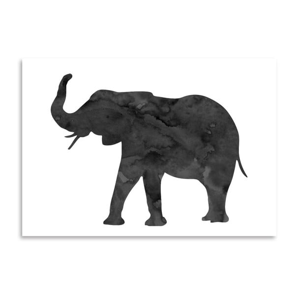 Poster Americanflat  Elephant, 30 x 42 cm