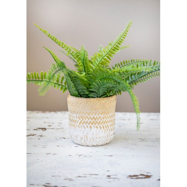 Ghiveci din iarbă de mare Kitchen Craft Ombré-image-4