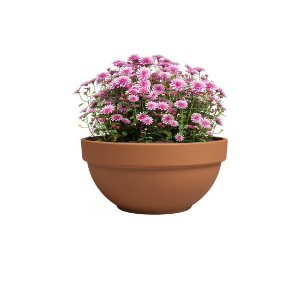 Ghiveci din teracotă ø 20 cm Amalia Campana – Artevasi-image-2