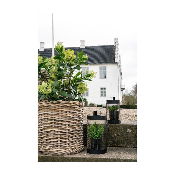 Plantă artificială Skimmia - House Nordic-image-4