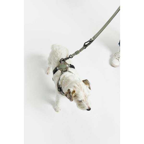 Lesă bej cu prindere prin carabină lungime 200 cm Modena Greige 20 mm – MiaCara-image-4