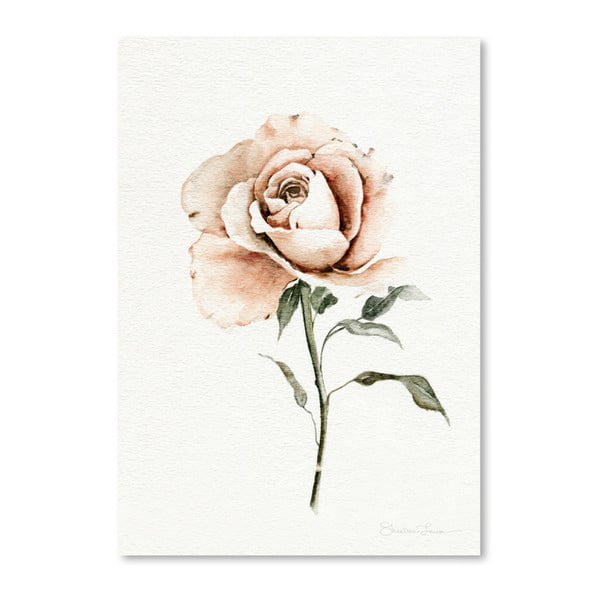 Poster Americanflat Single Peach Rose by Shealeen Louise, 30 x 42 cm