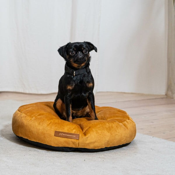 Saltea galbenă pentru câini ø 50 cm Coco S – Rexproduct-image-1