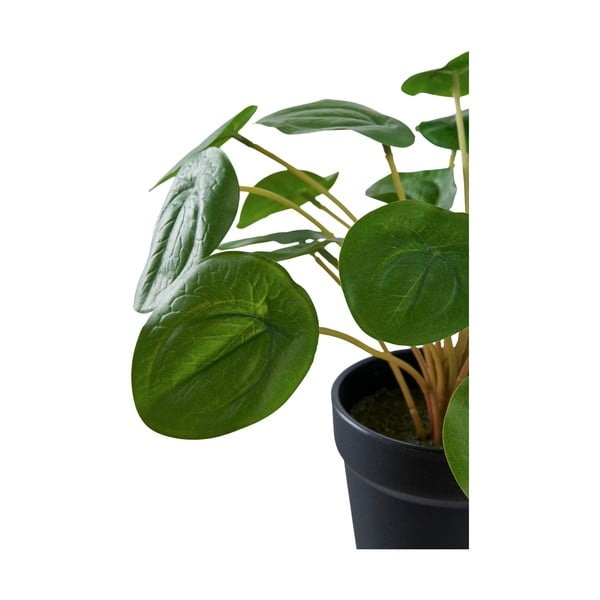 Plantă artificială (înălțime 28 cm) Pelia – House Nordic-image-4