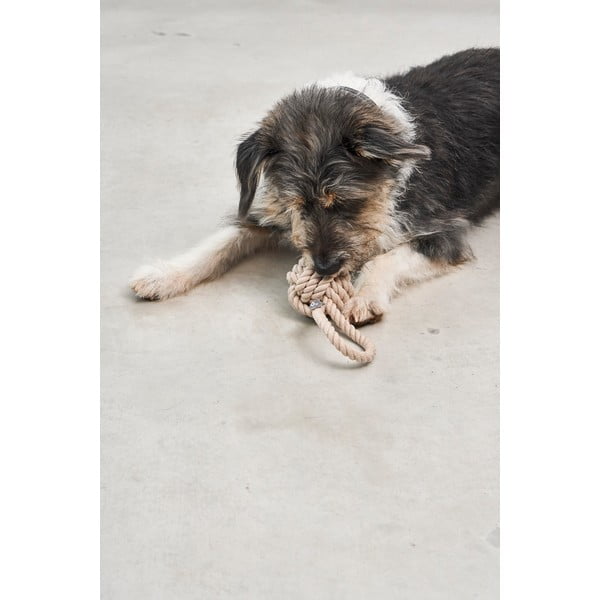 Jucărie pentru câine Nodo Greige – MiaCara-image-1