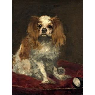 Reproducere tablou Édouard Manet - A King Charles Spaniel, 40 x 30 cm