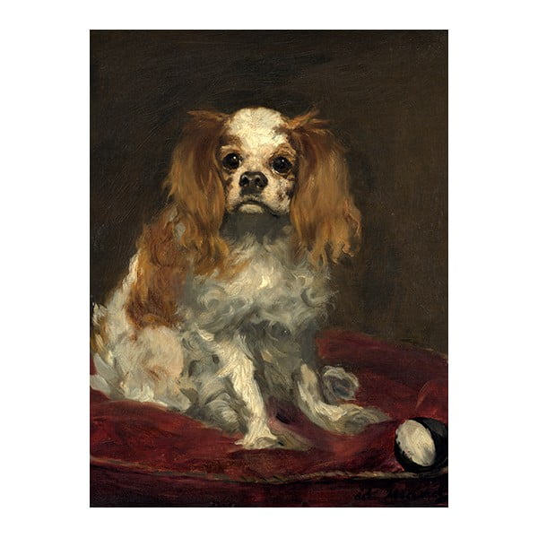 Reproducere tablou Édouard Manet - A King Charles Spaniel, 40 x 30 cm