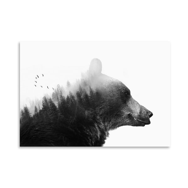 Poster Americanflat Big Bear, 30 x 42 cm
