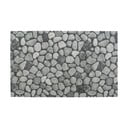 Covoraș de baie gri din plastic 50x80 cm Sassi – Wenko