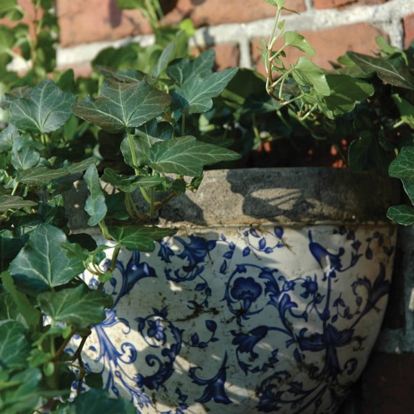 Ghiveci din ceramică de perete – Esschert Design-image-2