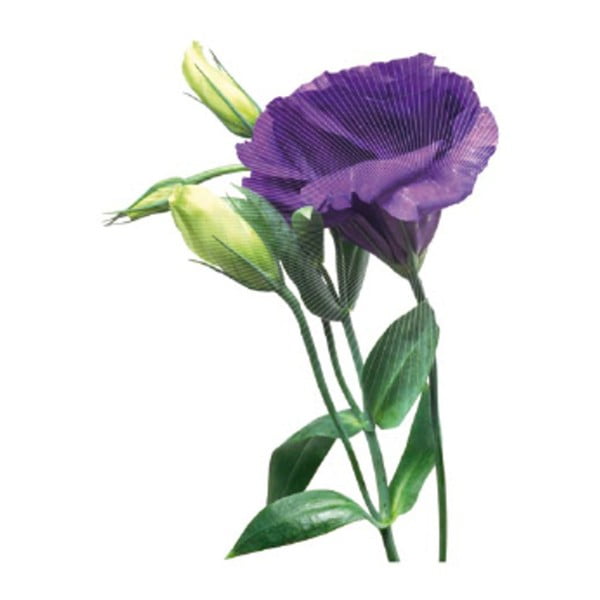 Autocolant CousCous Lisianthus