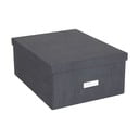 Cutie de depozitare cu capac Katrin – Bigso Box of Sweden