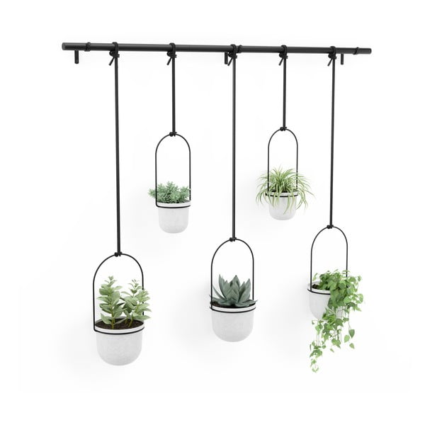 Ghivece decorative 5 buc. din plastic pentru ierburi aromatice/de agățat / de perete ø 7,5 cm Triflora – Umbra-image-4