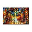 Reproducere tablou pe pânză Leonid Afremov, 70 x 45 cm
