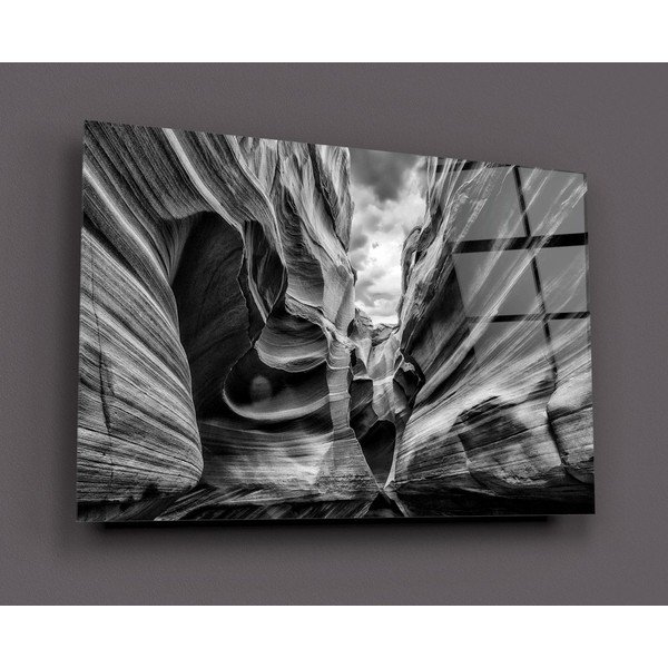 Tablou din sticlă Insigne Black and White-image-2
