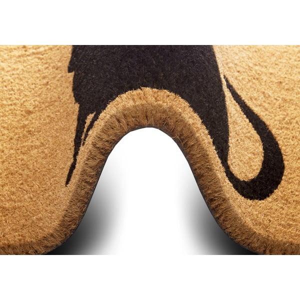 Covoraș de intrare din fibre de cocos 75x45 cm Cat - Hanse Home-image-2