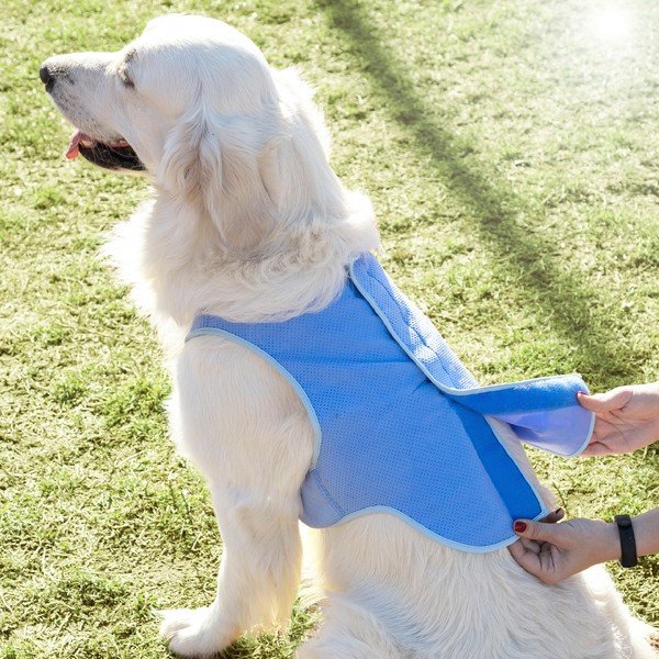 Vestă cu efect de răcire pentru animale mari de companie InnovaGoods, măr. L-image-4