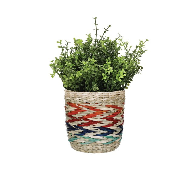 Ghiveci din iarbă de mare Kitchen Craft Rainbow, multicolor-image-2