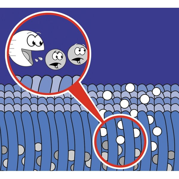 Spray pentru curățarea covoarelor 500 ml Nano - Maximex-image-1
