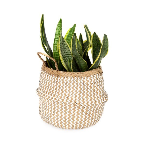 Coș de depozitare din iarbă de mare Compactor Zic Zac, ⌀ 27 cm-image-1