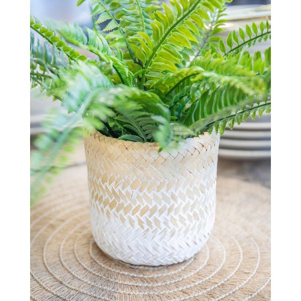 Ghiveci din iarbă de mare Kitchen Craft Ombré-image-3