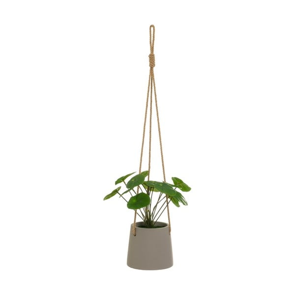Plantă artificială (înălțime 24 cm) Pilea – Casa Selección