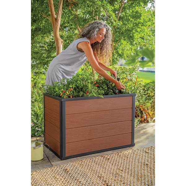 Pat ridicat de plante Maple – Keter-image-1