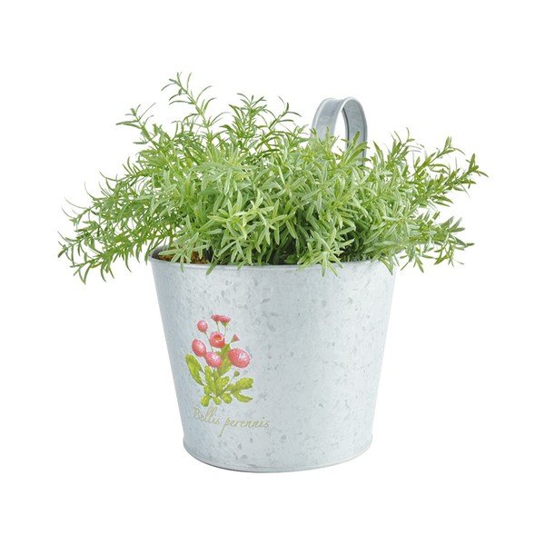 Set 4 suporturi cu cârlig pentru ghivece flori Ego Dekor Botanika-image-2