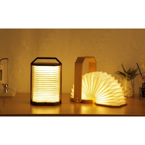 Decorațiune luminoasă albă/în culoare naturală închisă cu USB Origami – Gingko-image-3