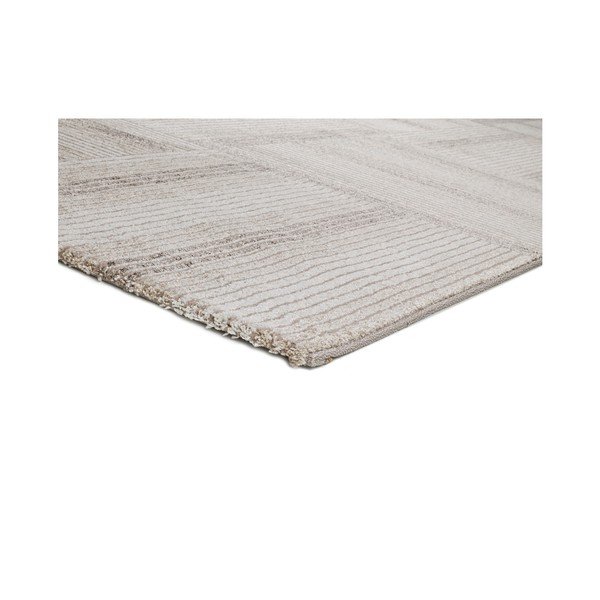 Covor adecvat și pentru exterior Universal Meghan Beige, 120 x 170 cm, bej-image-2
