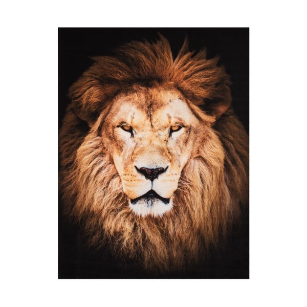 Covor Hanse Home Lion, 190 x 140 cm