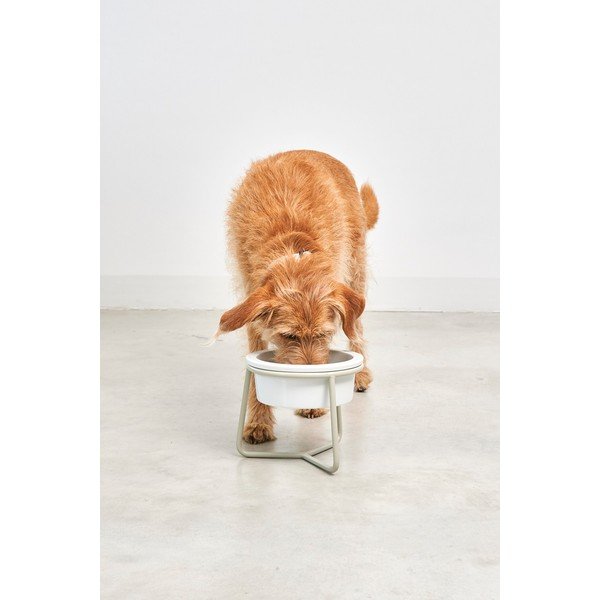 Bol cu suport  pentru câini din porțelan ø 20 cm Pranzo Greige M – MiaCara-image-2