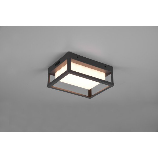 Corp de iluminat pentru exterior LED de perete (înălțime 24 cm) Witham – Trio-image-2