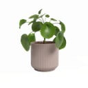 Ghiveci din ceramică ø 15 cm Luna – Artevasi