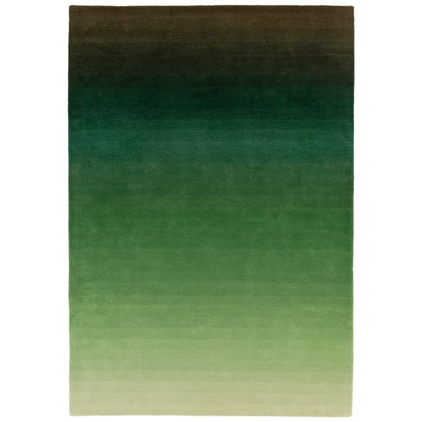Covor Asiatic Carpets Ombre, 120 x 170 cm, verde-gri