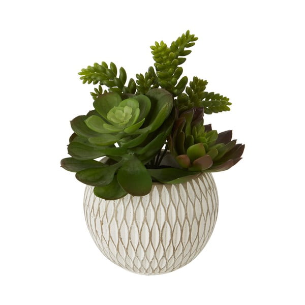 Plantă suculentă artificială în ghiveci de ceramică alb Premier Housewares Fiori