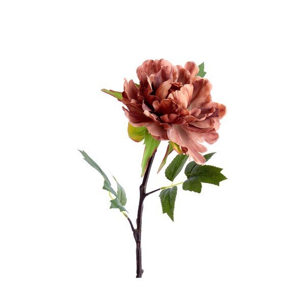 Plantă artificială (înălțime 65 cm) Peonia – Light & Living-image-1