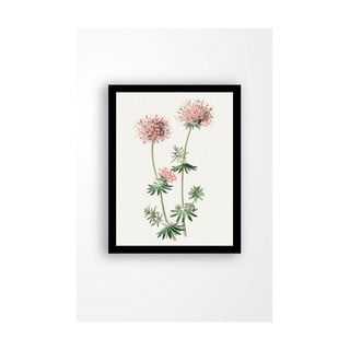 Tablou pe pânză în ramă neagră Tablo Center Natura, 29 x 24 cm