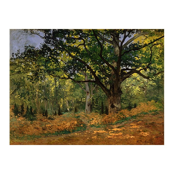 Tablou Claude Monet - The Bodmer Oak, Fontainebleau Forest, 40x30 cm